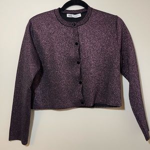 Zara Cropped Shimmer Sweater Cardigan
